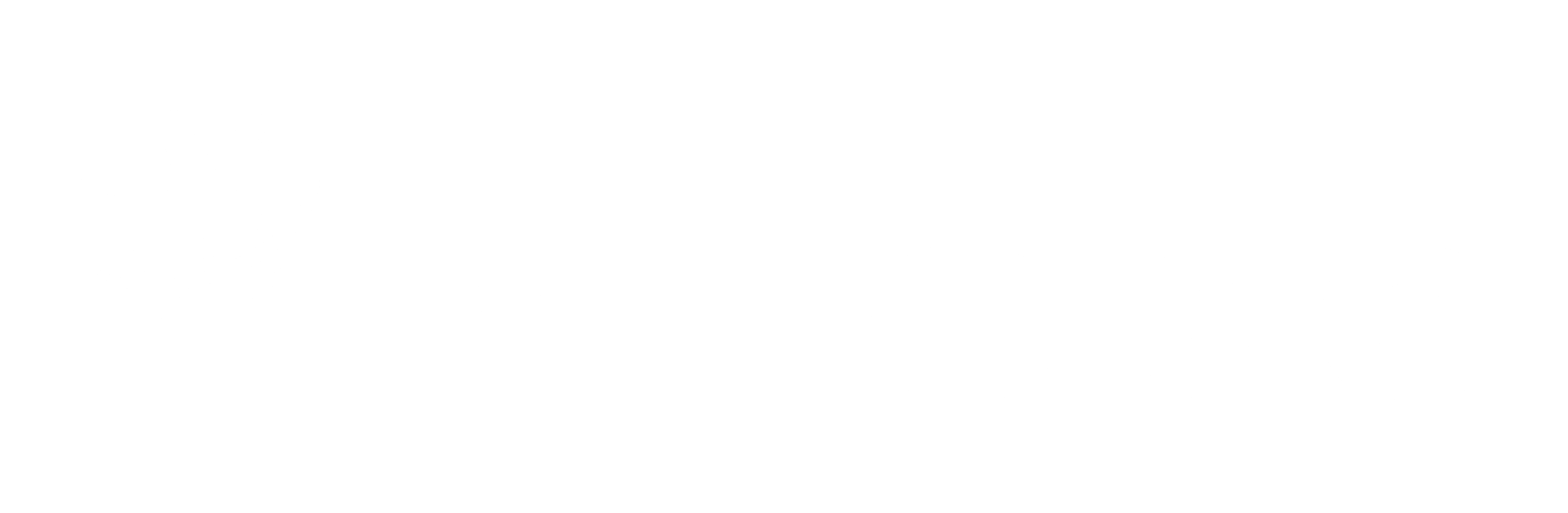 Pepsico Logo